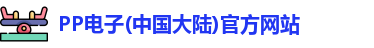 PP电子